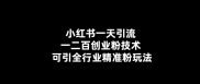 小红书一天引流一二百创业粉技术 可引全行业精准粉玩法