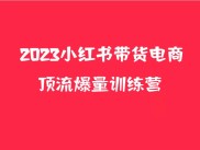 小红书电商爆量训练营，月入3W+！可复制的独家养生花茶系列玩法