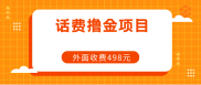 长期话费撸金项目，外面498元在带人