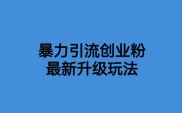 价值1980一千个野路子暴力引流最新升级玩法