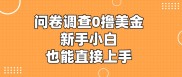 国内可做的国外问卷调查，0撸美金，新手小白也能直接上手