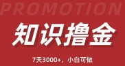 抖音知识撸金项目简单暴力日入1000+