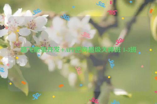 路飞爬虫开发+APP逆向超级大神班 1-3班