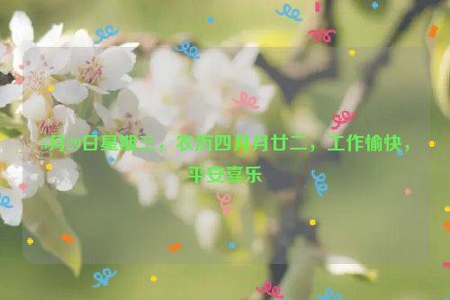 5月29日星期三，农历四月月廿二，工作愉快，平安喜乐