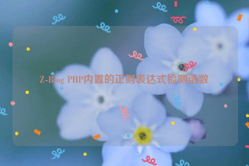 Z-Blog PHP内置的正则表达式检测函数