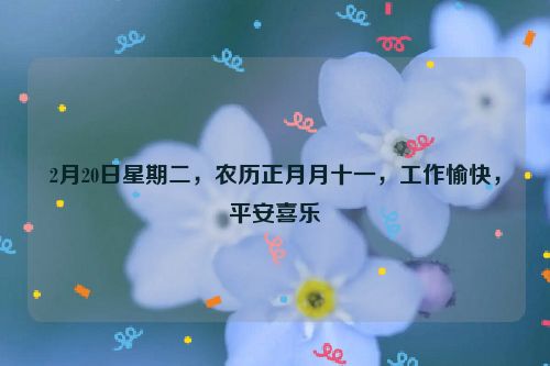 2月20日星期二，农历正月月十一，工作愉快，平安喜乐