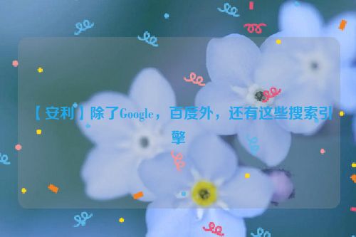 【安利】除了Google，百度外，还有这些搜索引擎