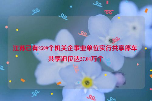 江苏已有2599个机关企事业单位实行共享停车 共享泊位达27.04万个