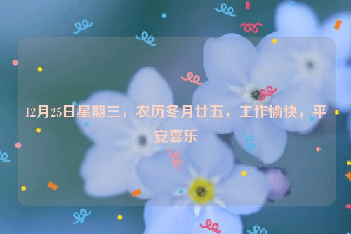 12月25日星期三，农历冬月廿五，工作愉快，平安喜乐